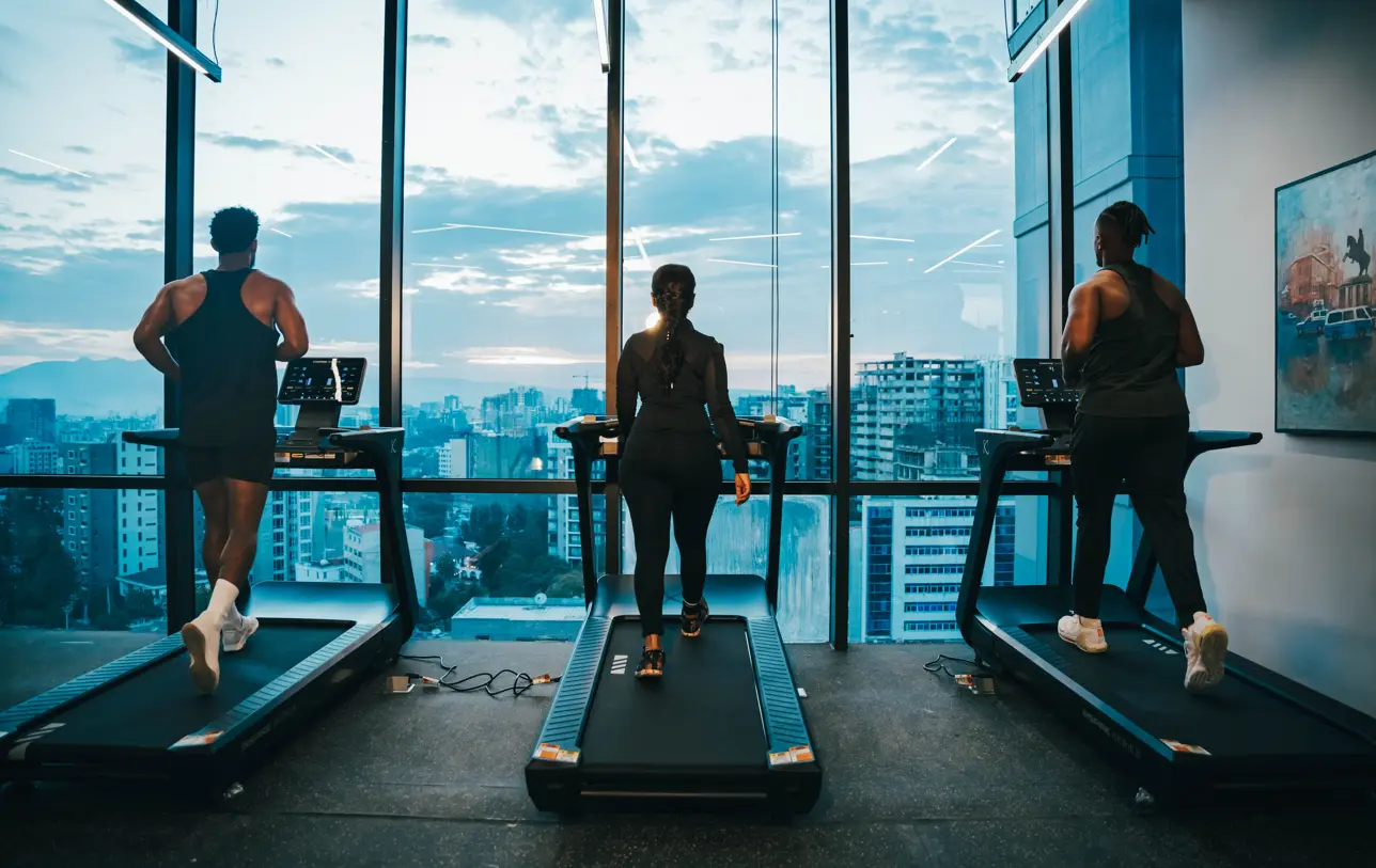 Signature Equipment Genesis